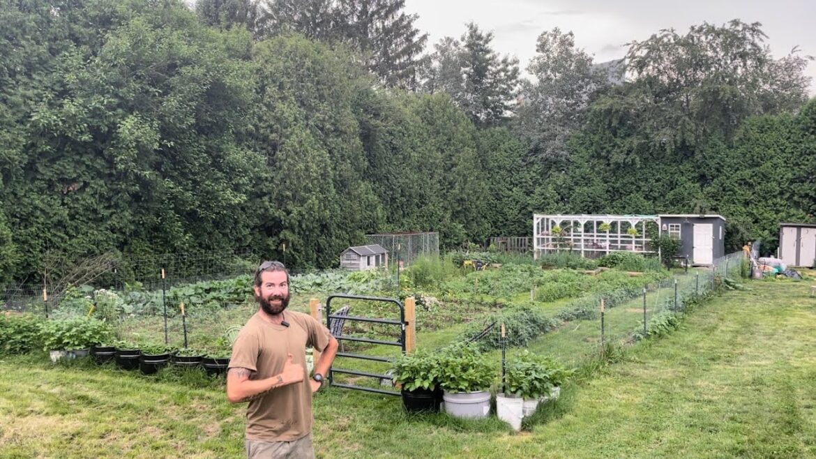 Huge Garden Update! July 2nd Garden Tour! Huge Garden Update! July 2nd Garden Tour!