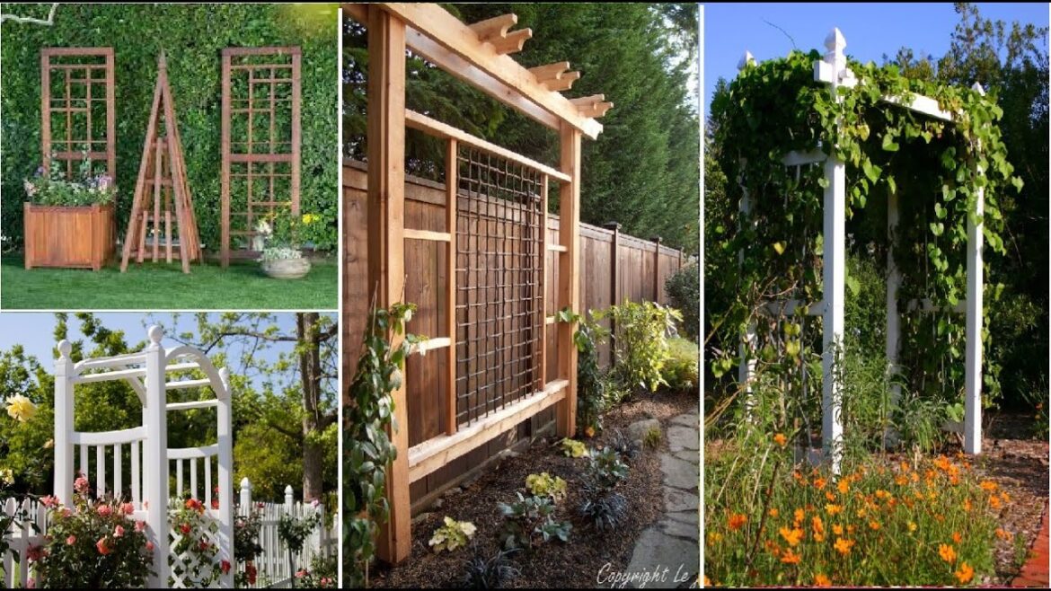 45+ Small garden Trellis and Lattice Ideas | Gardening and Planting Ideas | MY GARDEN TV 45+ Small garden Trellis and Lattice Ideas | Gardening and Planting Ideas | MY GARDEN TV