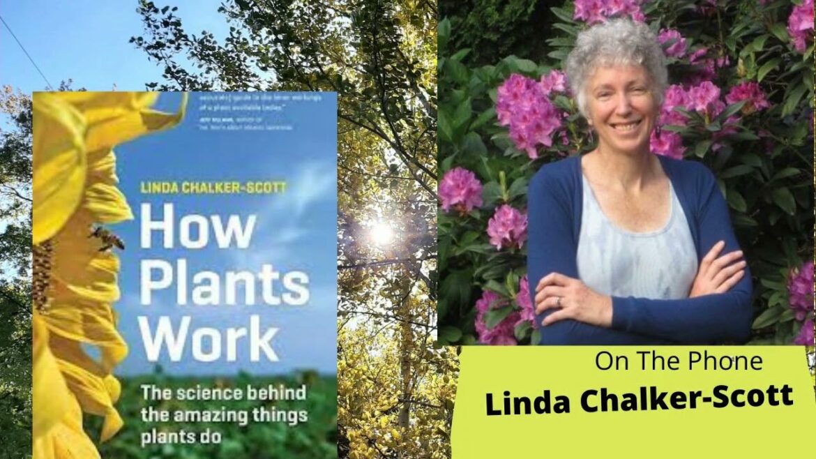 Seg3 of S7E10 Guest Garden professor Linda Chalker-Scott -The Gardening with Joey & Holly Radio Show