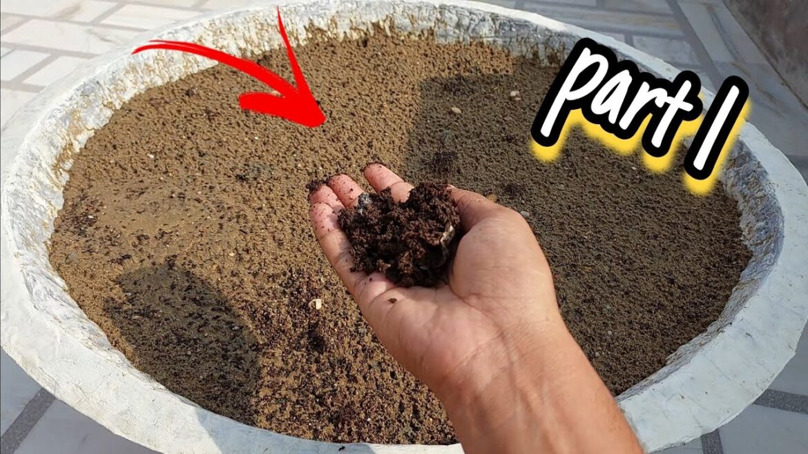 growing different spinach, fenugreek and garlic chives in a single planter part-1 [ day 1] 🙂