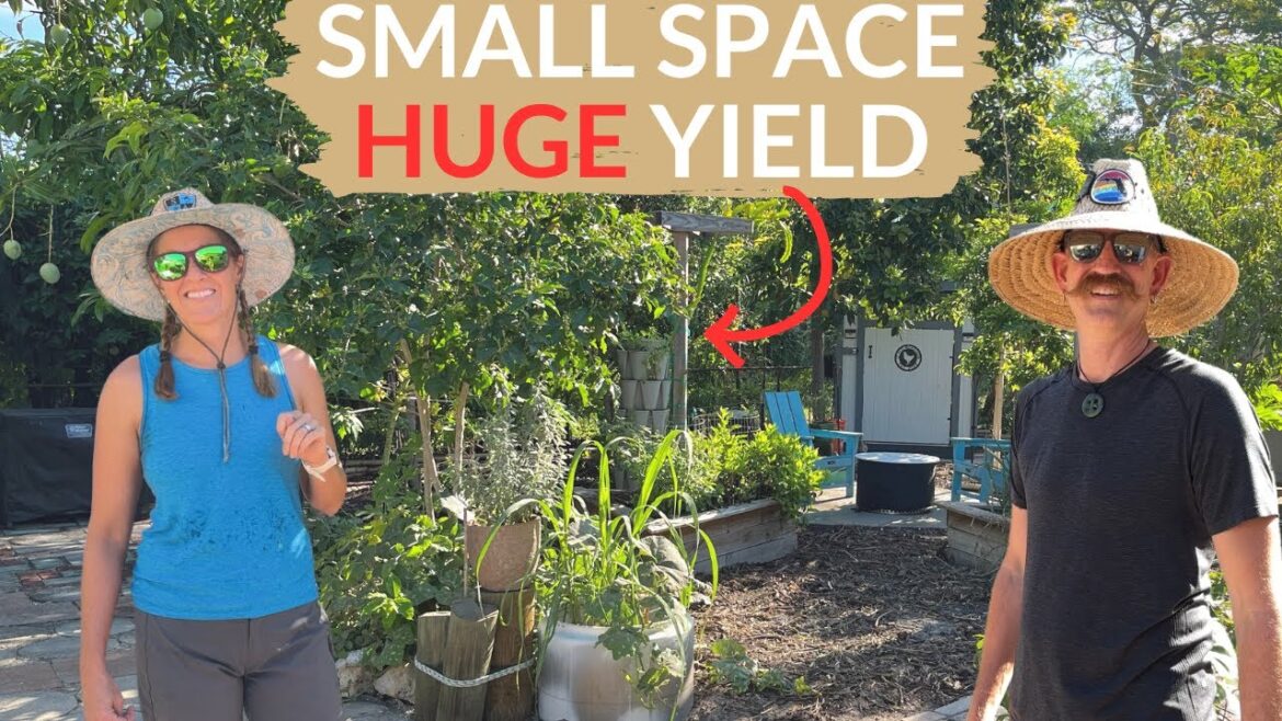 79 Fruit Trees on 1/10th of an Acre Lot (Urban Homestead Tour)