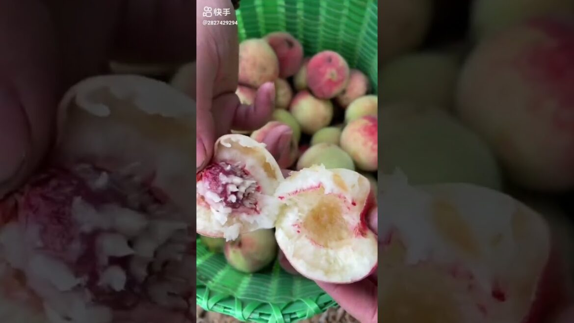 do you know this fruit?|Fruits🍒Videos#shorts #viral