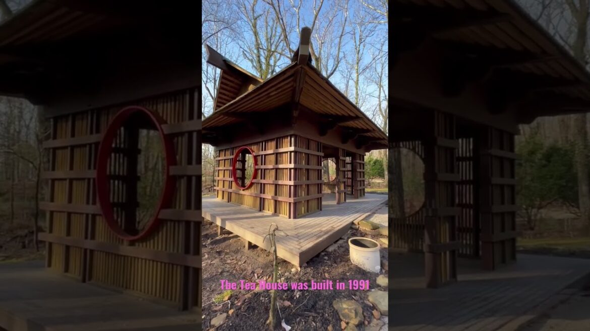 North Alabama Japanese Garden at Monte Sano State Park in Huntsville, Alabama #japanesegarden North Alabama Japanese Garden at Monte Sano State Park in Huntsville, Alabama #japanesegarden