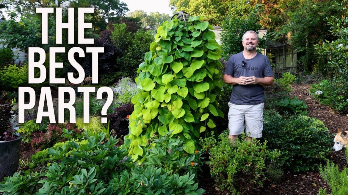 The Best Part of the Big Garden Tour – P5 The Best Part of the Big Garden Tour - P5