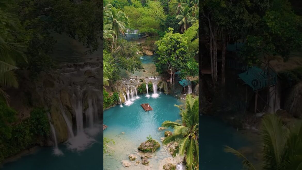 Exclusive First Look at surprising nature