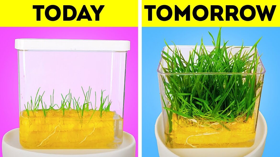 20+ Plant Parenting Secrets to Help Beginner Gardeners Flourish