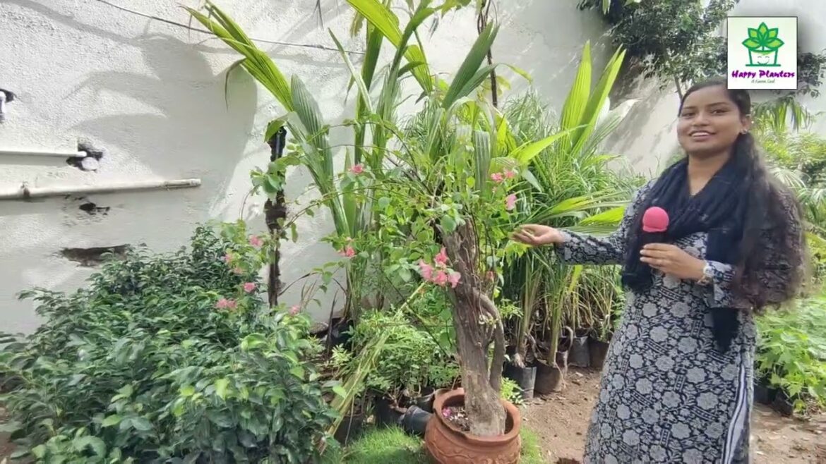 Nursary Tour | Nita Soni | #plant #garden #gardener #gardening #trending #youtube  #video #viral