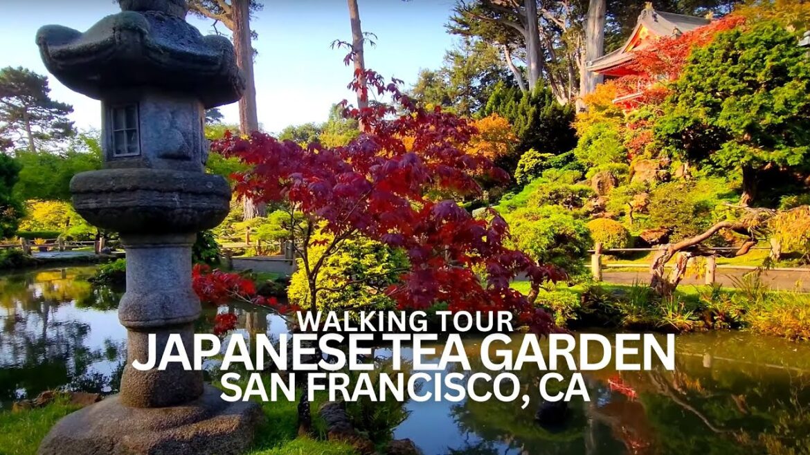 Exploring The Japanese Tea Garden in San Francisco, California USA Walking Tour #japaneseteagarden Exploring The Japanese Tea Garden in San Francisco, California USA Walking Tour #japaneseteagarden