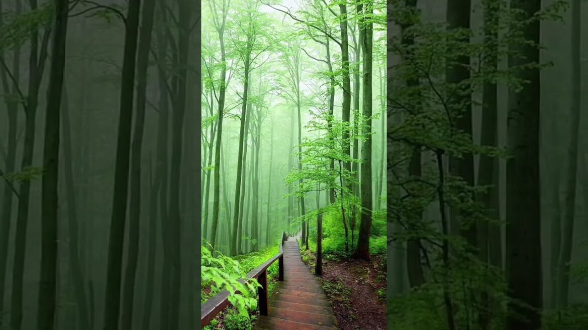 Beautiful Nature Garden Plan Natural life Style Beautiful landscapes