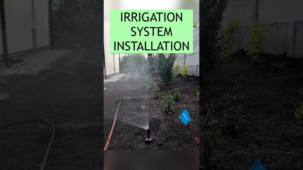 Stylish small front yard landscaping makeover. Before after time lapse #shorts  #backyardmakeover