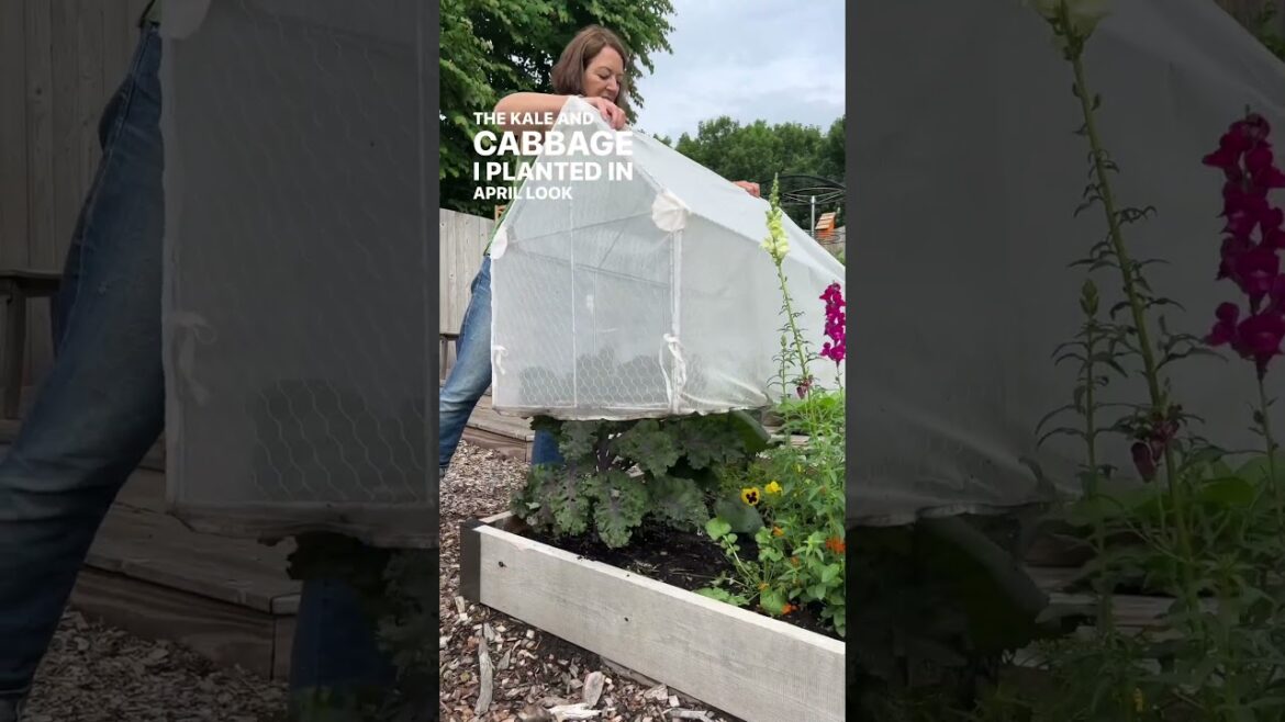 Happy #testgardentuesday! Join us for a garden update!