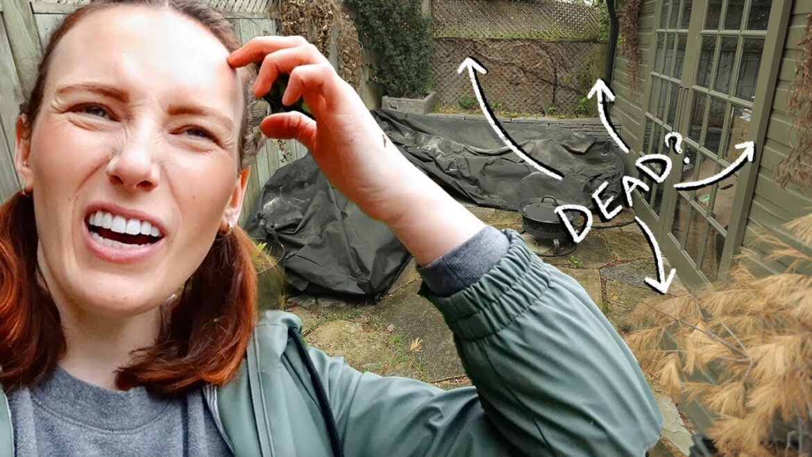 what happened to my extreme backyard makeover a year later?