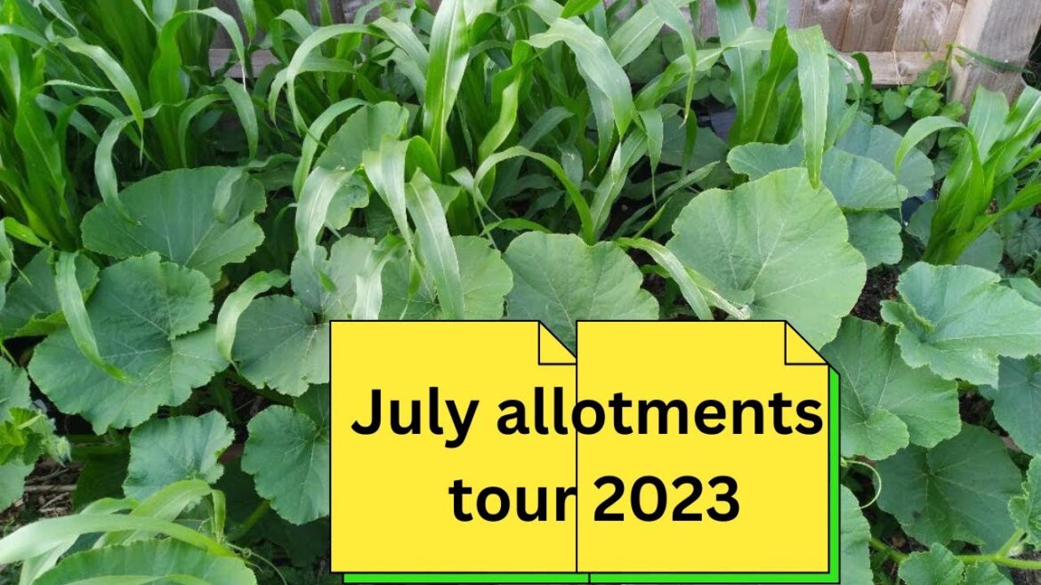 July allotments tour 2023