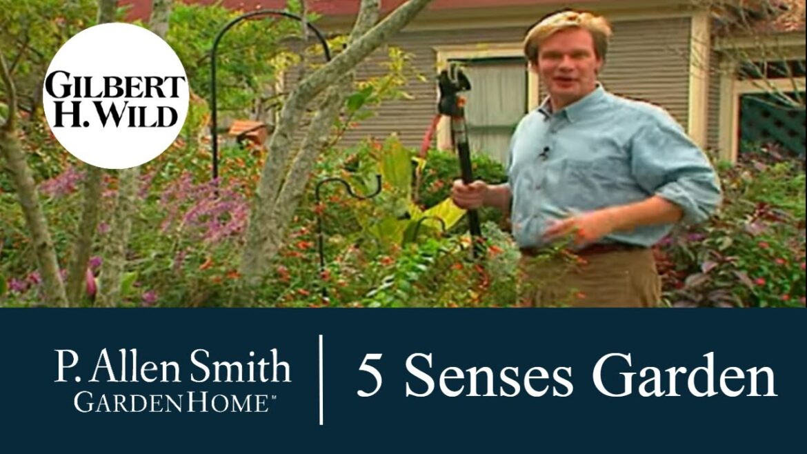 Ideas to enjoy the 5 Senses in the Garden  | Garden Home (504)