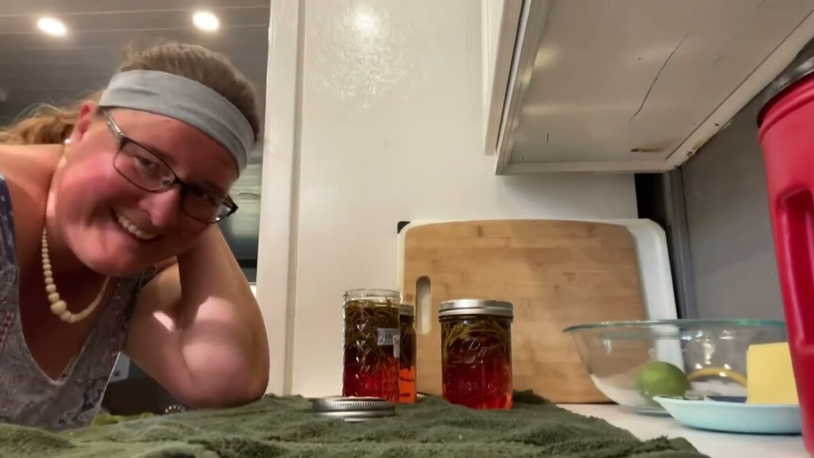 Pickled rats tail radish and June garden plans