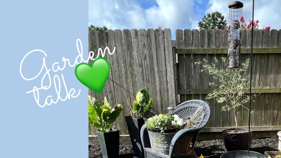 Backyard garden rearranging, container garden clean up and new garden design plans.