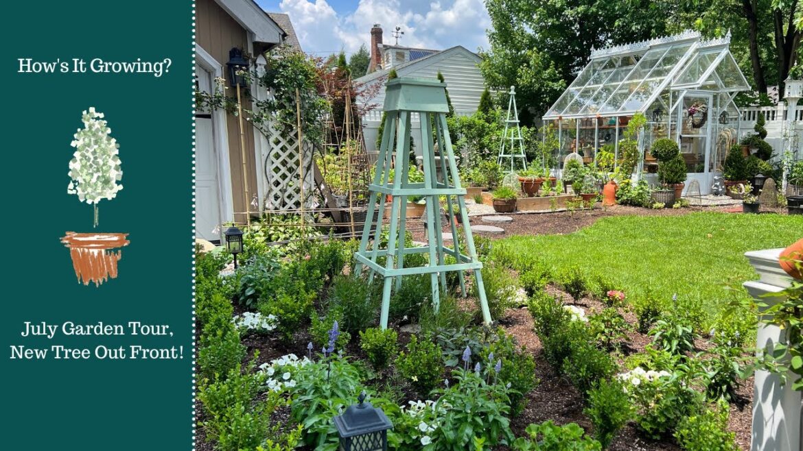 July Garden Tour, New Tree Out Front!