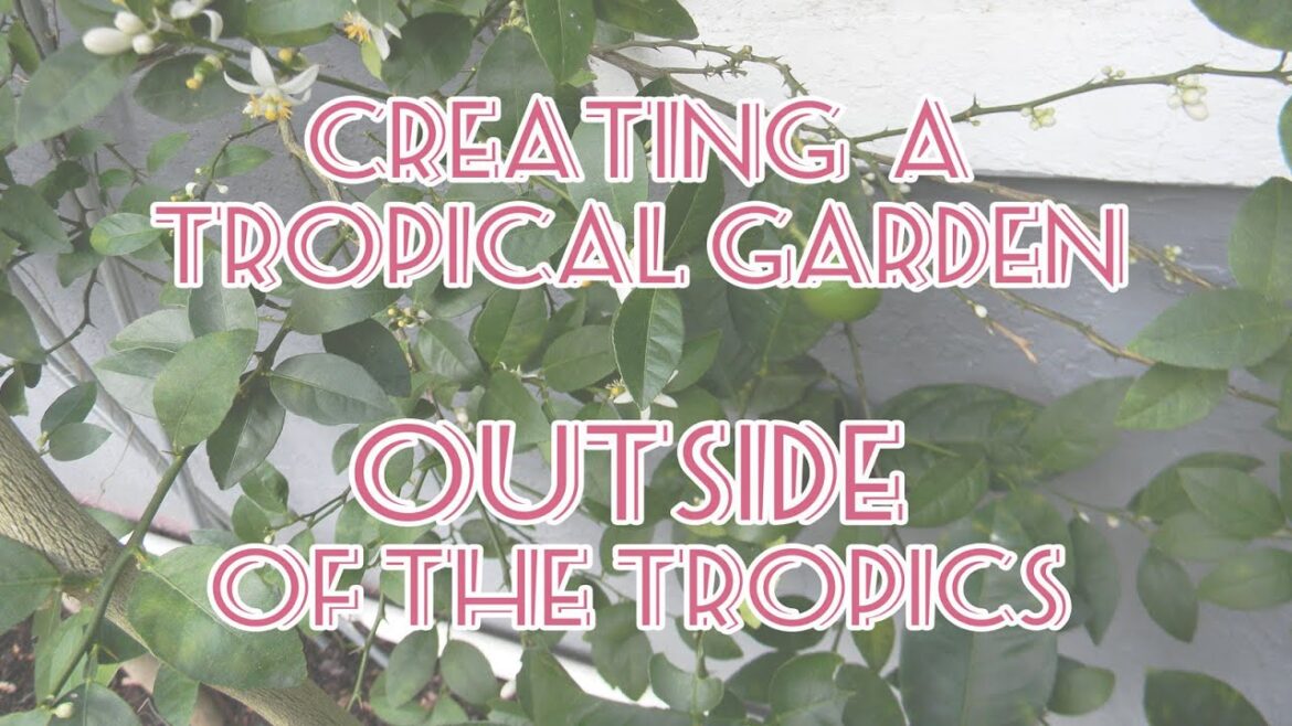 Creating a Tropical Edible Garden Outside of the Tropics