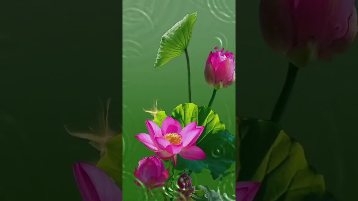 Beautiful Nature Garden Plan Natural life Style Beautiful landscapes Beautiful Nature Garden Plan Natural life Style Beautiful landscapes