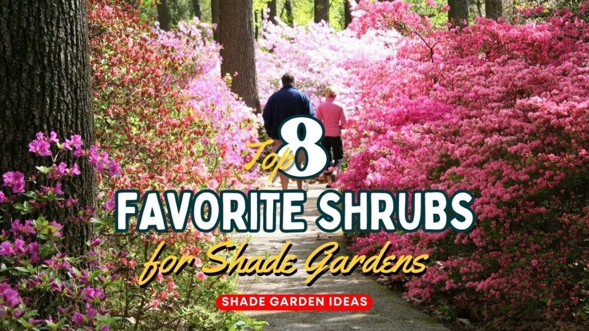 🌿 8 Must Have Shade Shrubs: Prepare to Be Amazed! 🌿 // Gardening Ideas