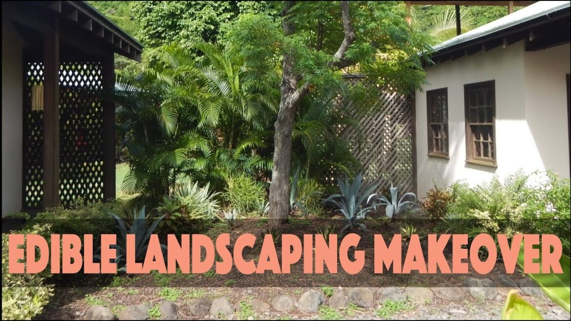 Edible Landscaping Makeover Pt. 1: Goodbye Spiky Things!