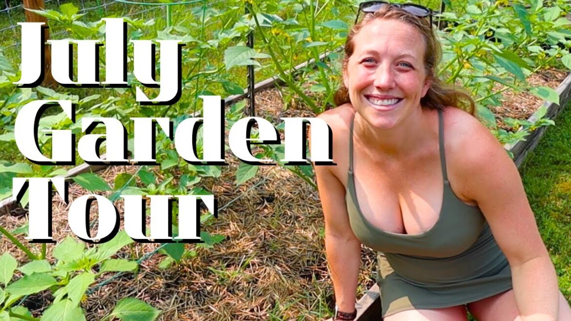 Full July Garden Tour!