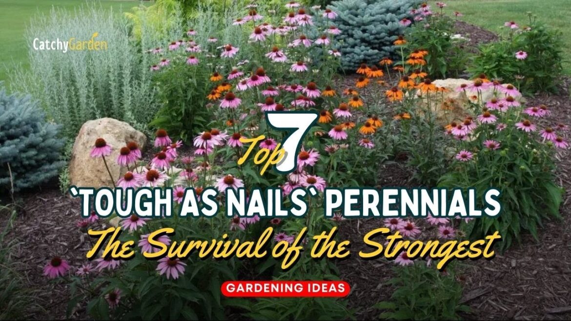 Survival of the Strongest: Top 7 'Tough as Nails' Perennials 🌺☀️🌸 // Gardening Tips