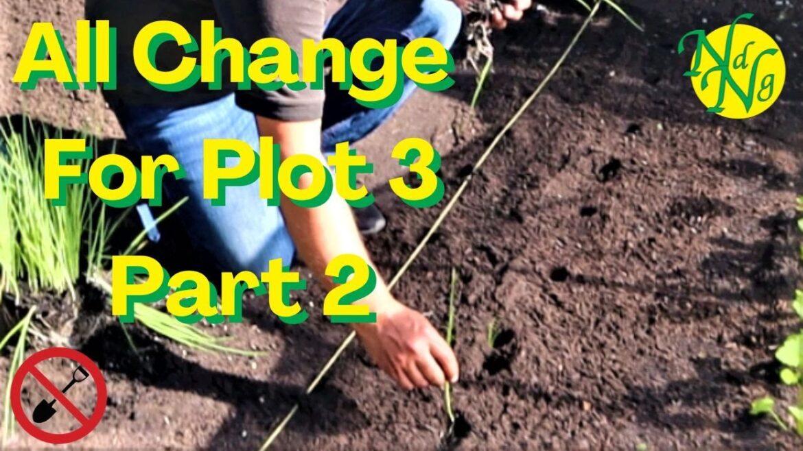 Planting Secrets: Harvesting & Planting with No Dig Planting Secrets: Harvesting & Planting with No Dig