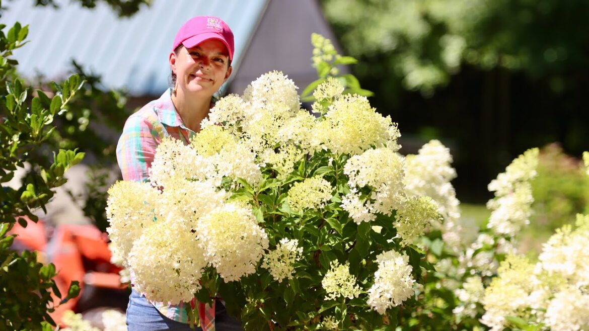 Planting Gorgeous Hydrangeas & Other Fun Shrubs | Gardening with Creekside