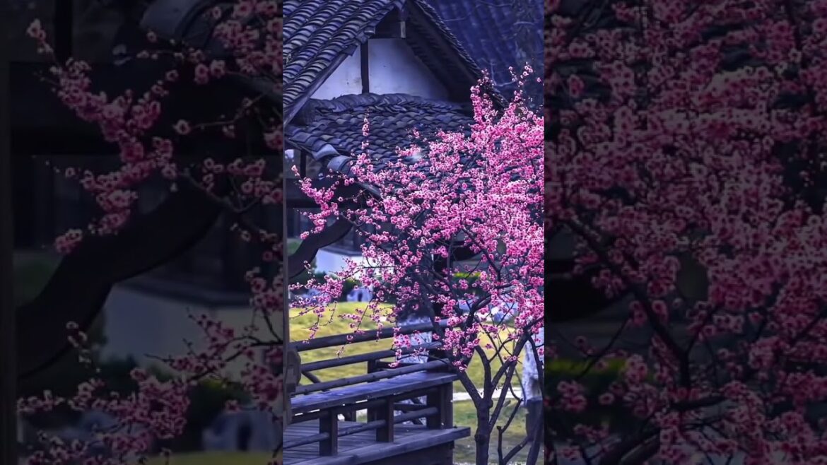 Beautiful Nature Garden Plan Natural life Style Beautiful landscapes