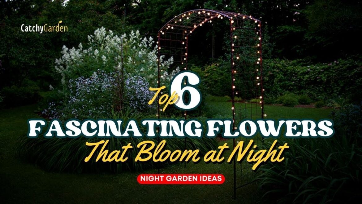 6 Fascinating Flowers That Bloom at Night πΈππΊ // Gardening Ideas 6 Fascinating Flowers That Bloom at Night πΈππΊ // Gardening Ideas
