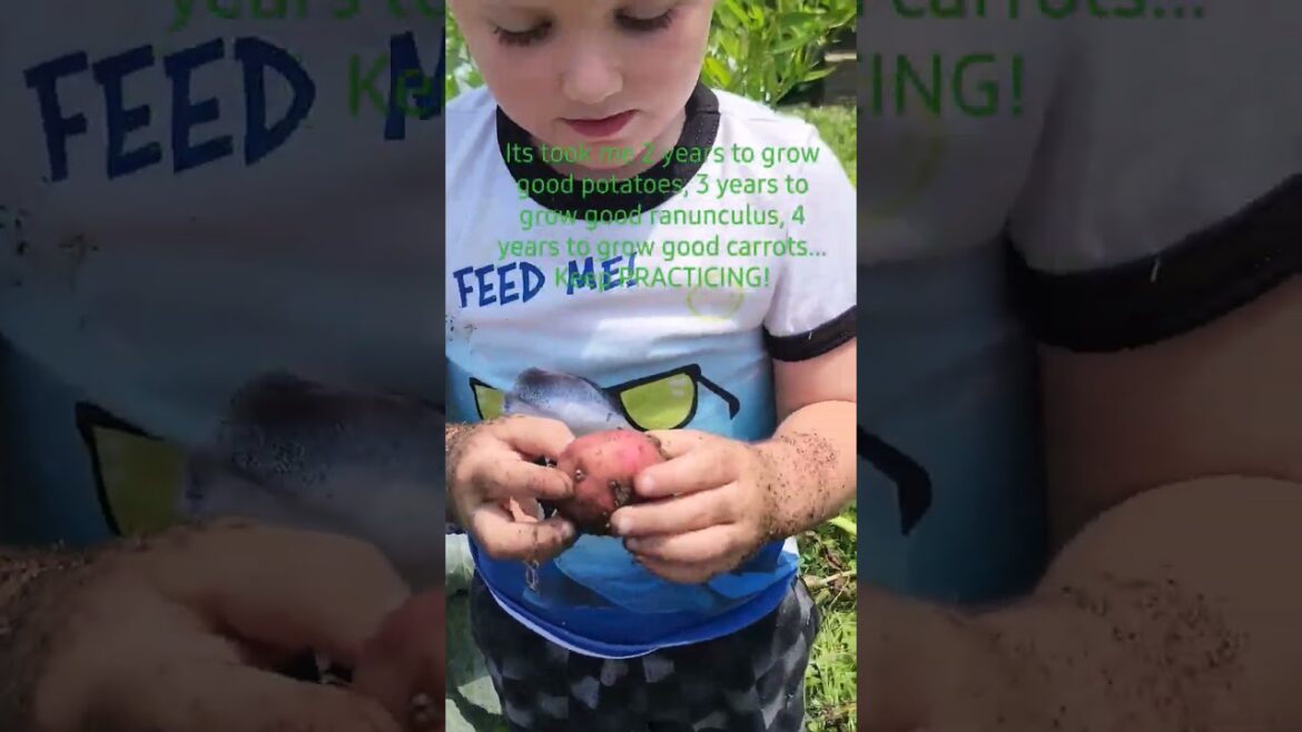 Practice makes IMPROVEMENT! | #gardening #growingyourownfood #vegetablegarden #cutflowers