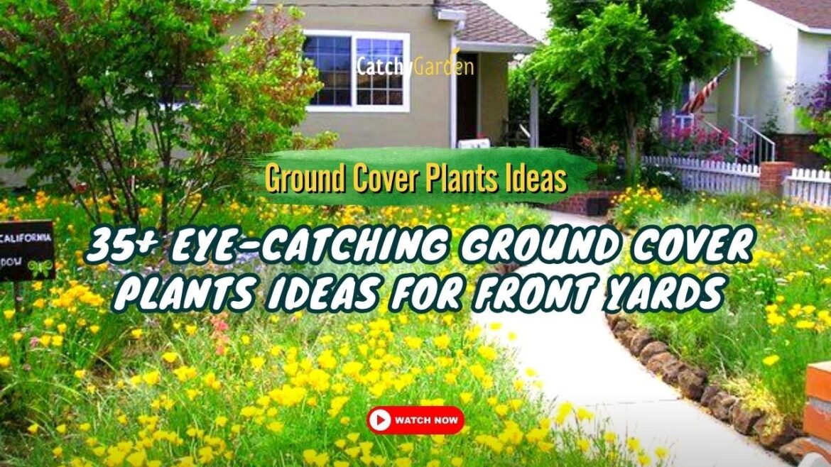 35+ Eye Catching Ground Cover Plants Ideas for Front Yards ๐ฑ๐ท๐ // Gardening Ideas 35+ Eye Catching Ground Cover Plants Ideas for Front Yards ๐ฑ๐ท๐ // Gardening Ideas