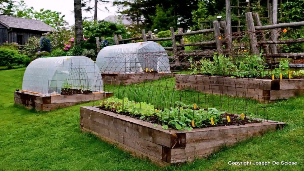 Sloped Backyard Landscaping Ideas On A Budget