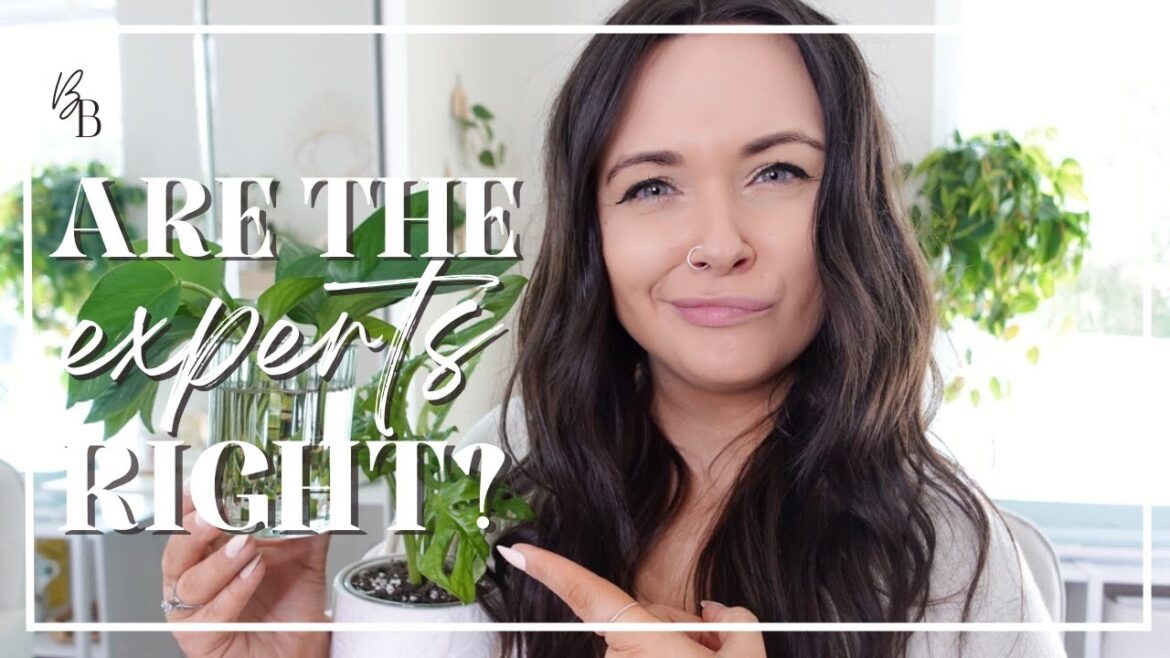 TOP HOUSEPLANT TRENDS For 2023 | Trendy Plants & Home Decor | Trending Houseplant Expert Predictions