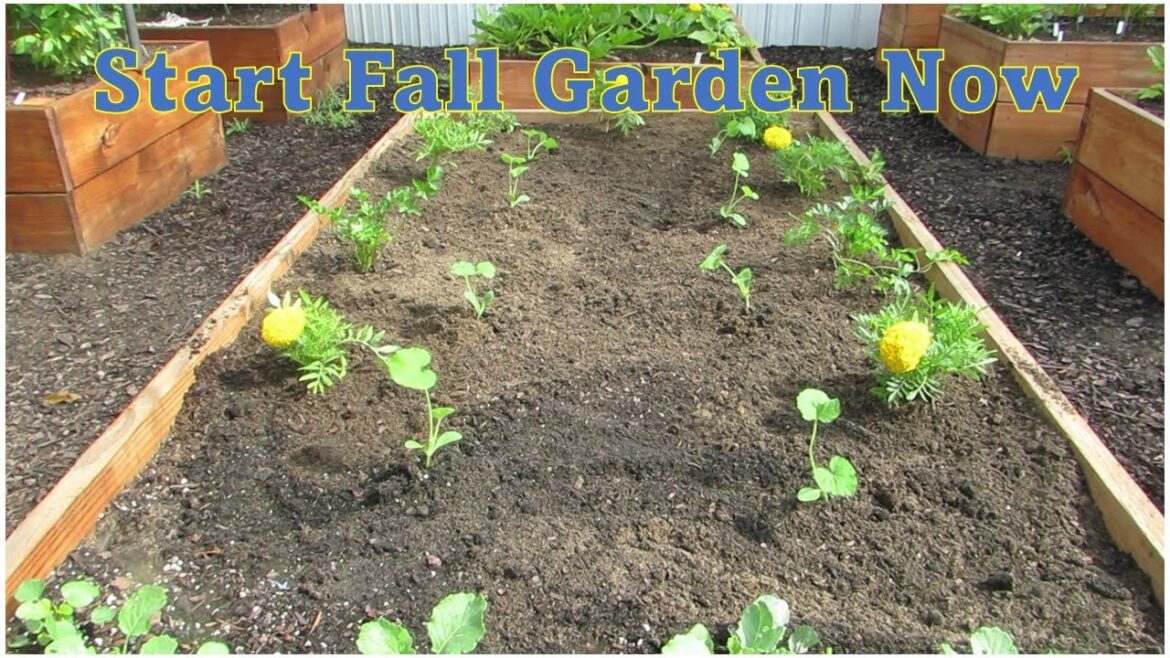 Unveiling the Secrets of Successful Fall Garden Planting Unveiling the Secrets of Successful Fall Garden Planting