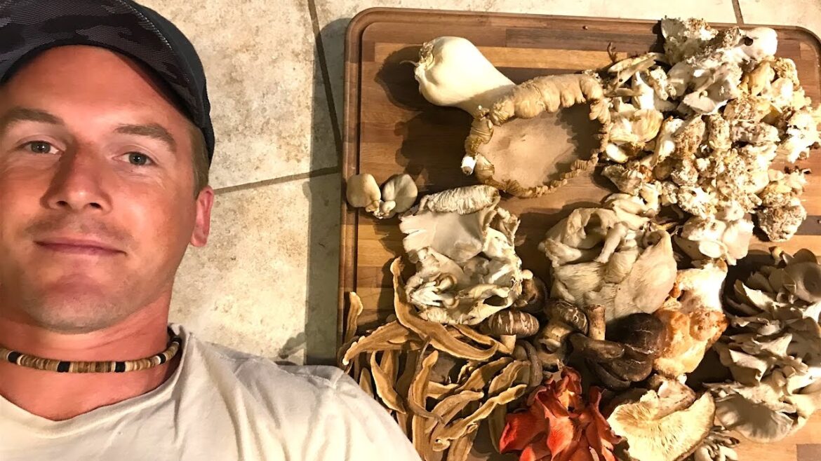 GROWING EDIBLE MUSHROOMS AT HOME & IN MY GARDEN