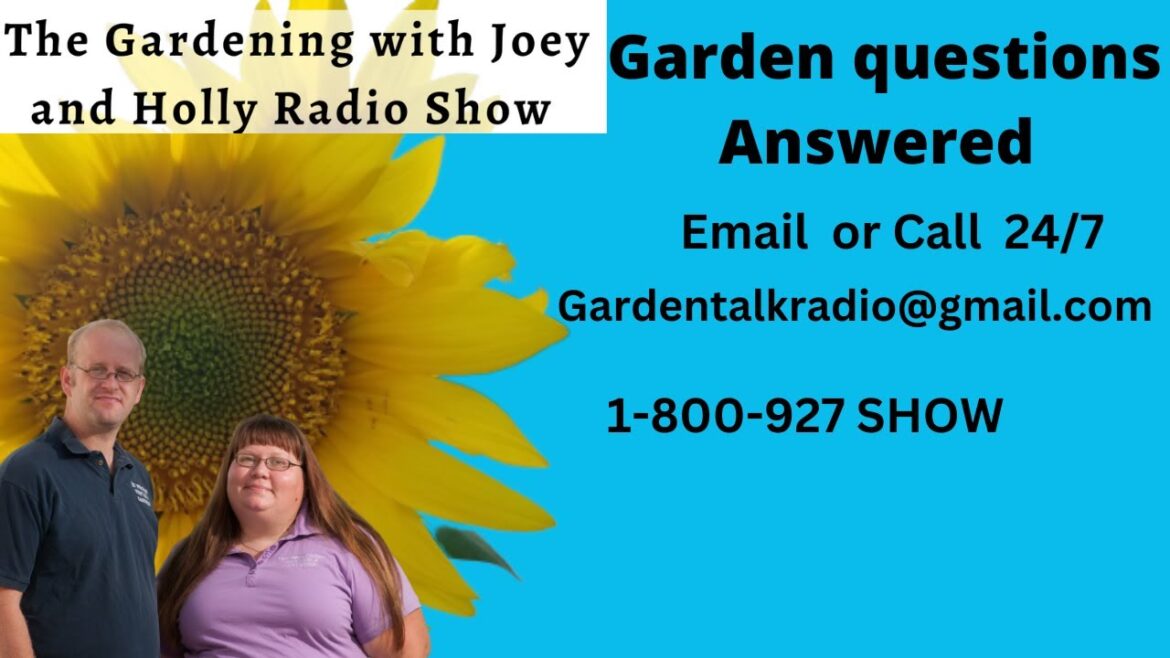 Seg4 of S7E17 Garden questions answered potting soil,sweet corn, soil health -The Gardeni radio show Seg4 of S7E17 Garden questions answered potting soil,sweet corn, soil health -The Gardeni radio show