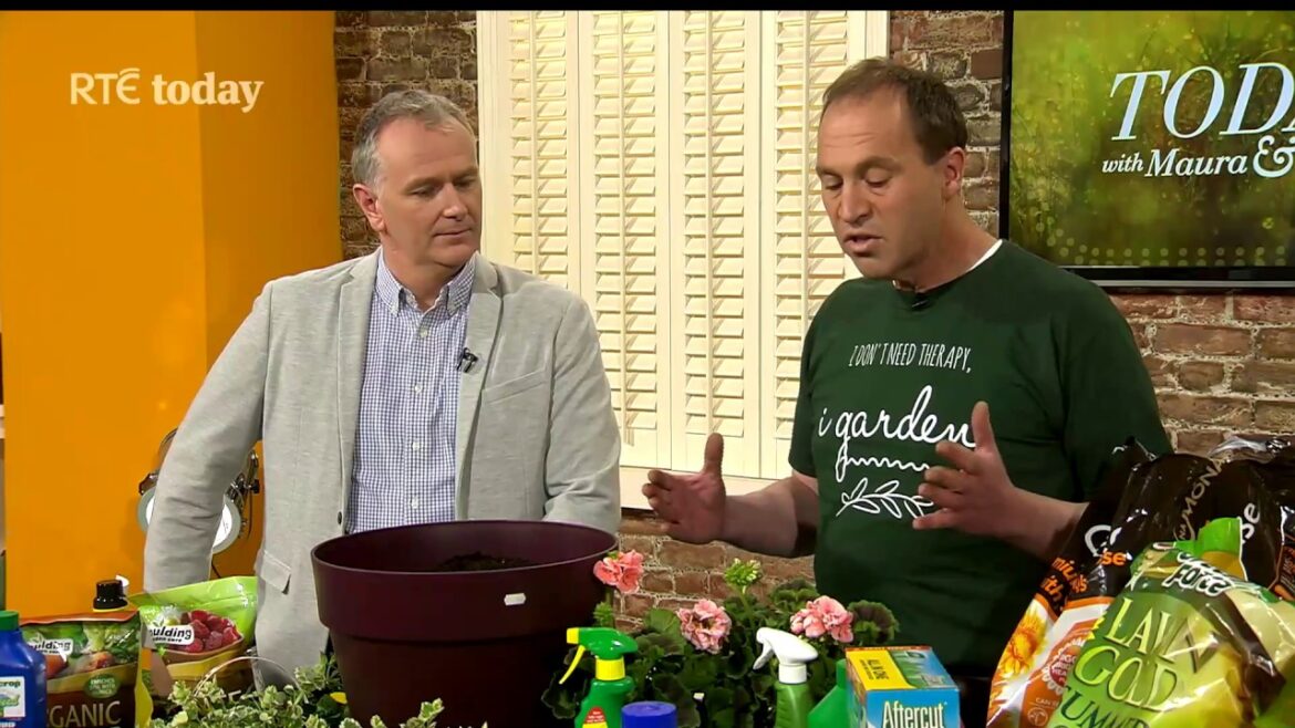 Garden Tips - 5 Top Tips to ensure your garden is healthy and colourful all summer long