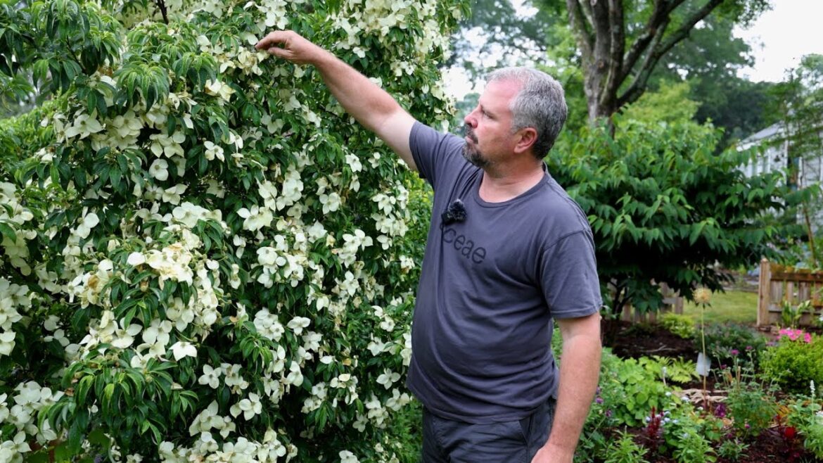 My Favorite Space in the Front Garden – P8 My Favorite Space in the Front Garden - P8