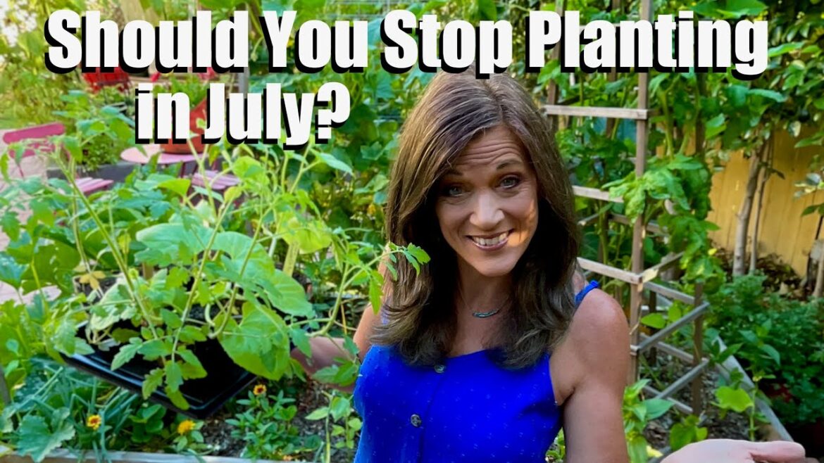 CaliKim: Should You Stop Planting in July? Should You Stop Planting in July?
