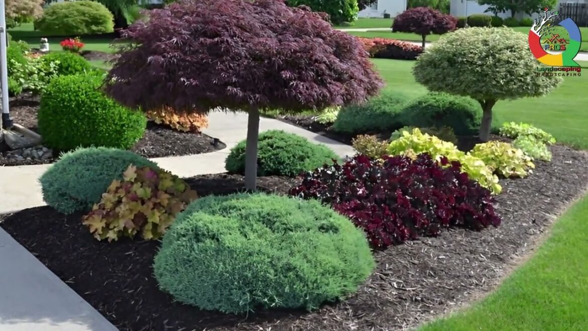 Transforming Your Lawn with Beautiful Trees | Q Pros Landscaping Transforming Your Lawn with Beautiful Trees | Q Pros Landscaping