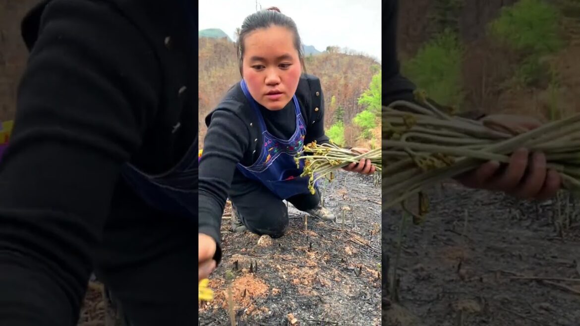 Picking wild veggies #vegetables #lifestyle