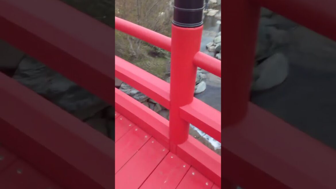 The bridge at the waterfall in the Japanese Garden #shorts