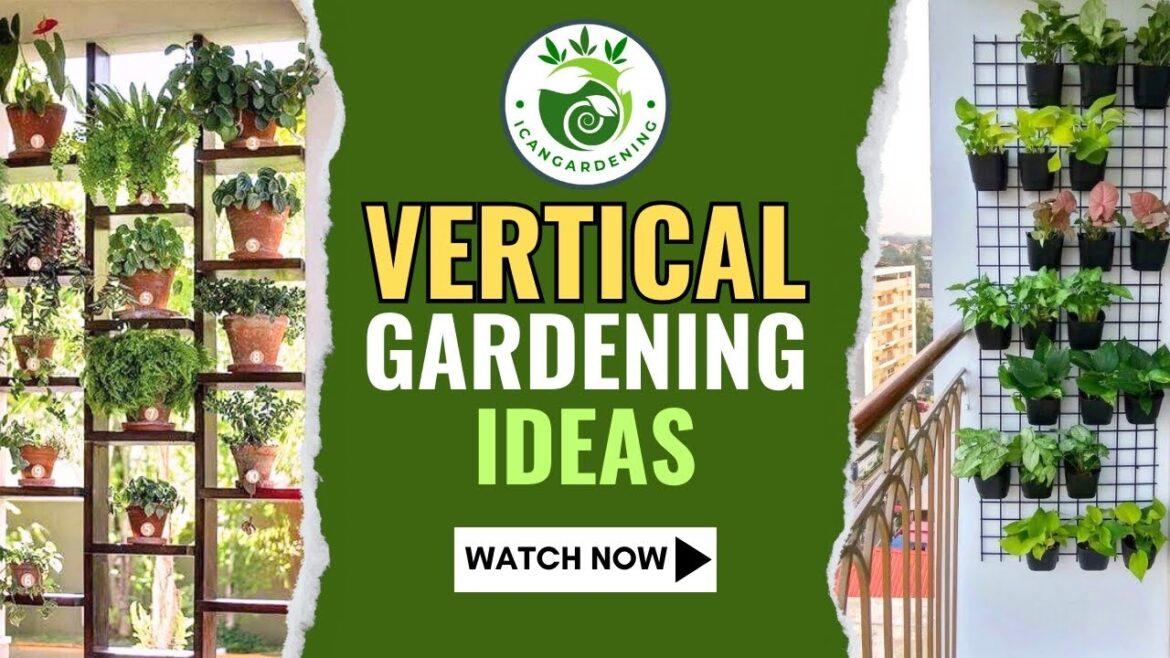 Vertical Gardening Ideas || Ideas for Vertical Gardens to Take Your Garden to New Heights