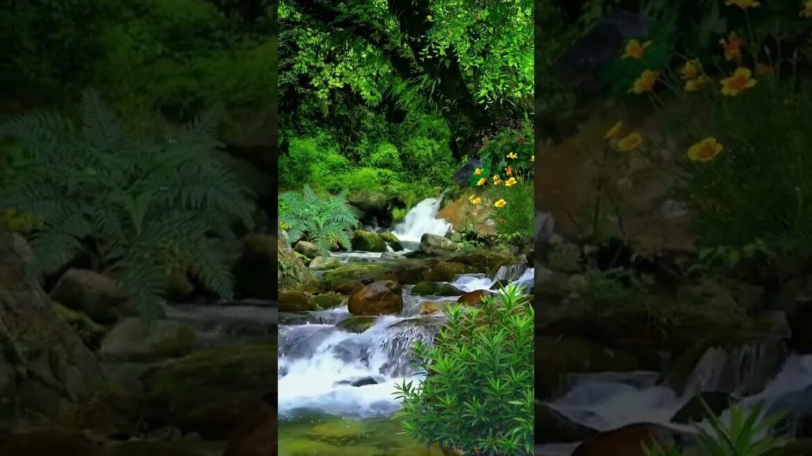 Beautiful Nature Garden Plan Natural life Style Beautiful landscapes