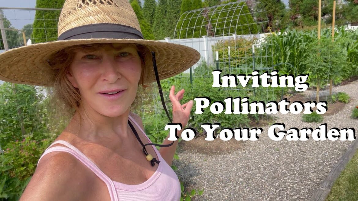 Garden Tour  - End of June