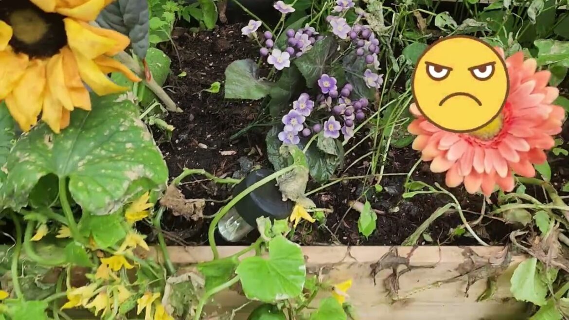 Evil People Poisoned My Garden, Can’t Plan For Everything. Evil People Poisoned My Garden, Can't Plan For Everything.