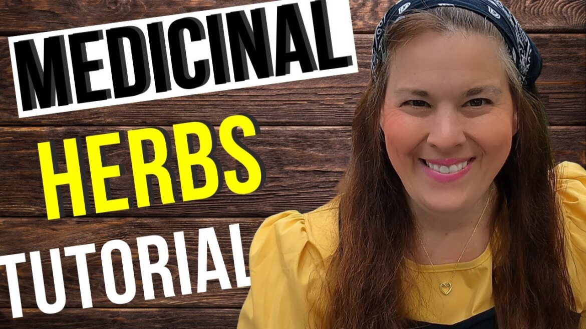 PEOPLE Must think ABOUT Starting a MEDICINAL Herb Garden