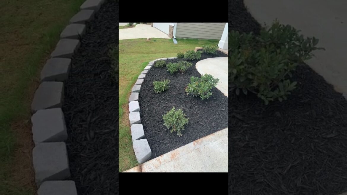 Front Yard Garden Ideas and Inspiration